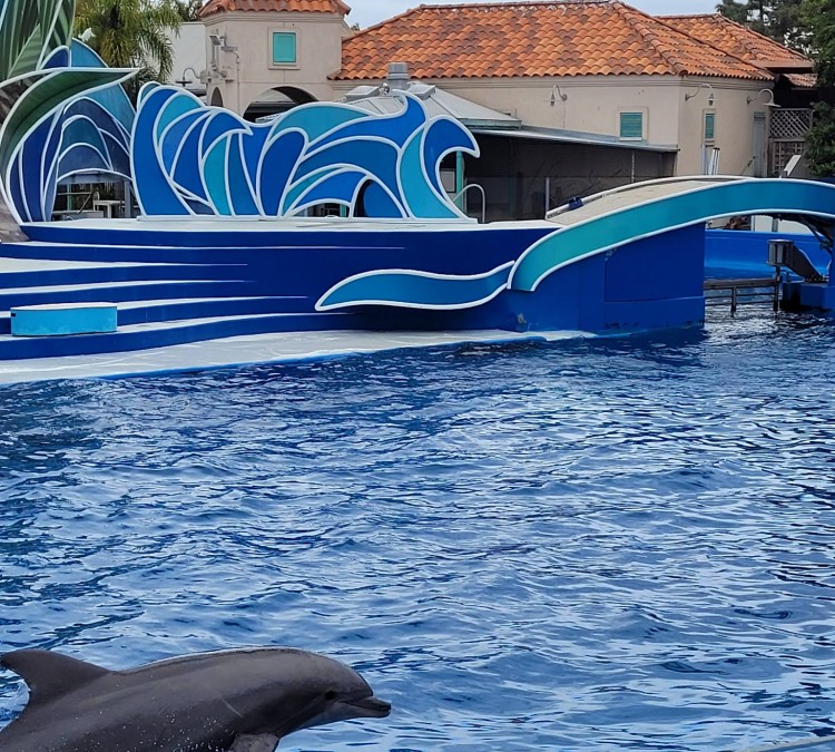 Dolphin Encounter (San&nbspDiego,&nbspCA)